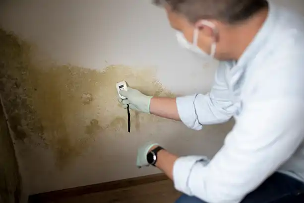 Mold inspection and removal in a basement